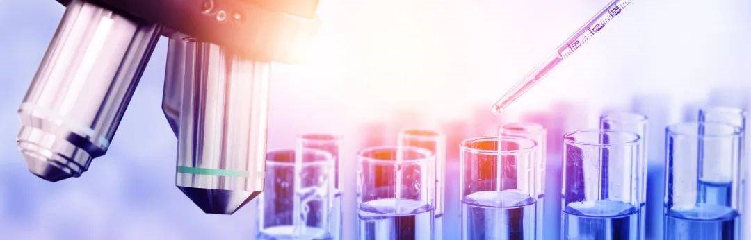 1703050788458439.jpg 1703050788458439.jpg